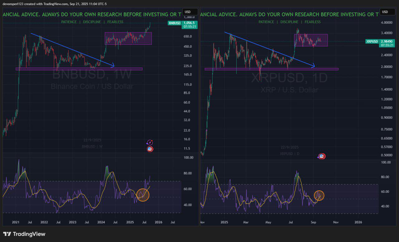 If XRP Follows BNB\