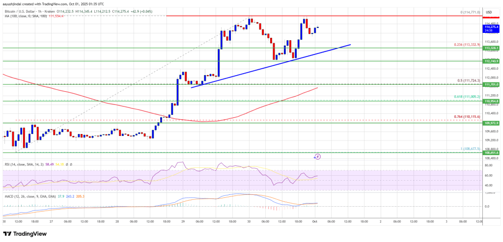 Bitcoin Price Target Breakout - Can Bulls Drive Price Above Key Level?